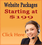 Website Developers Web Packages Starting at $199